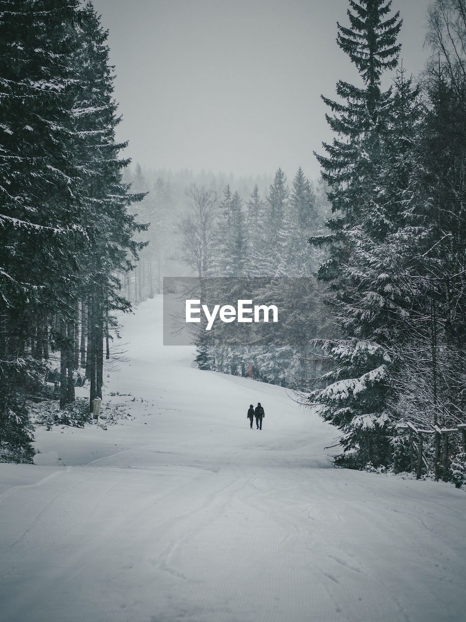 Distant view of friends walking on snow covered landscape