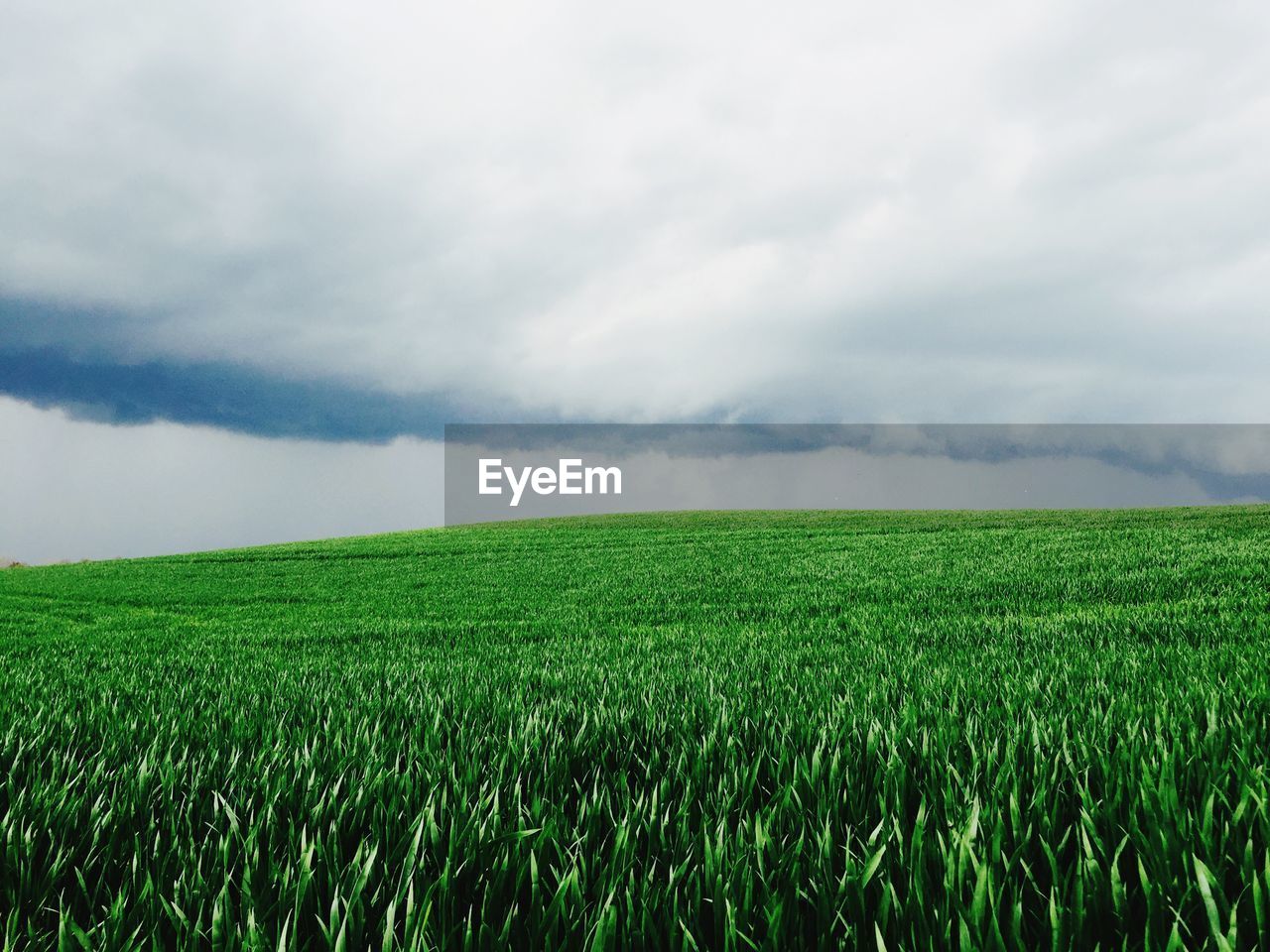 Scenic view of grassy field against cloudy sky