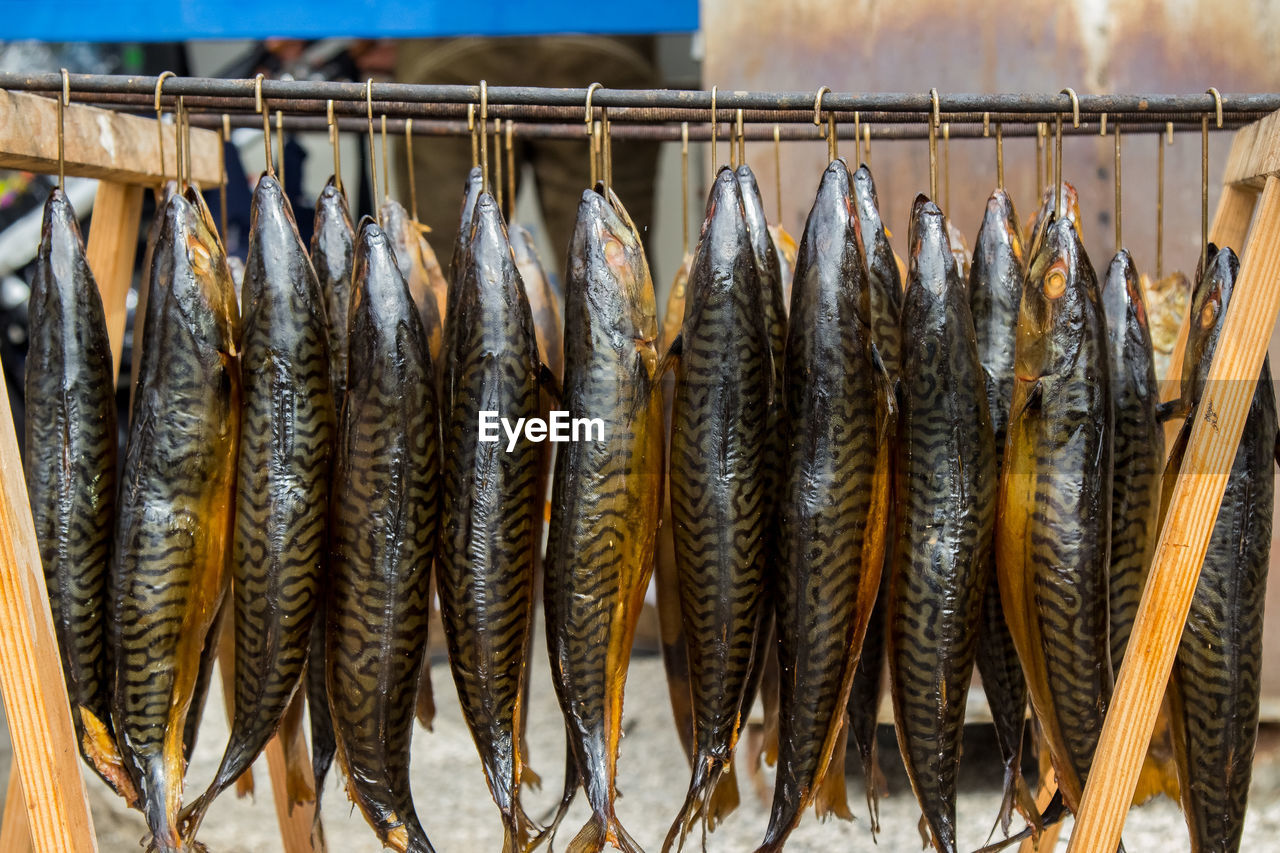 CLOSE-UP OF FISH HANGING FOR SALE
