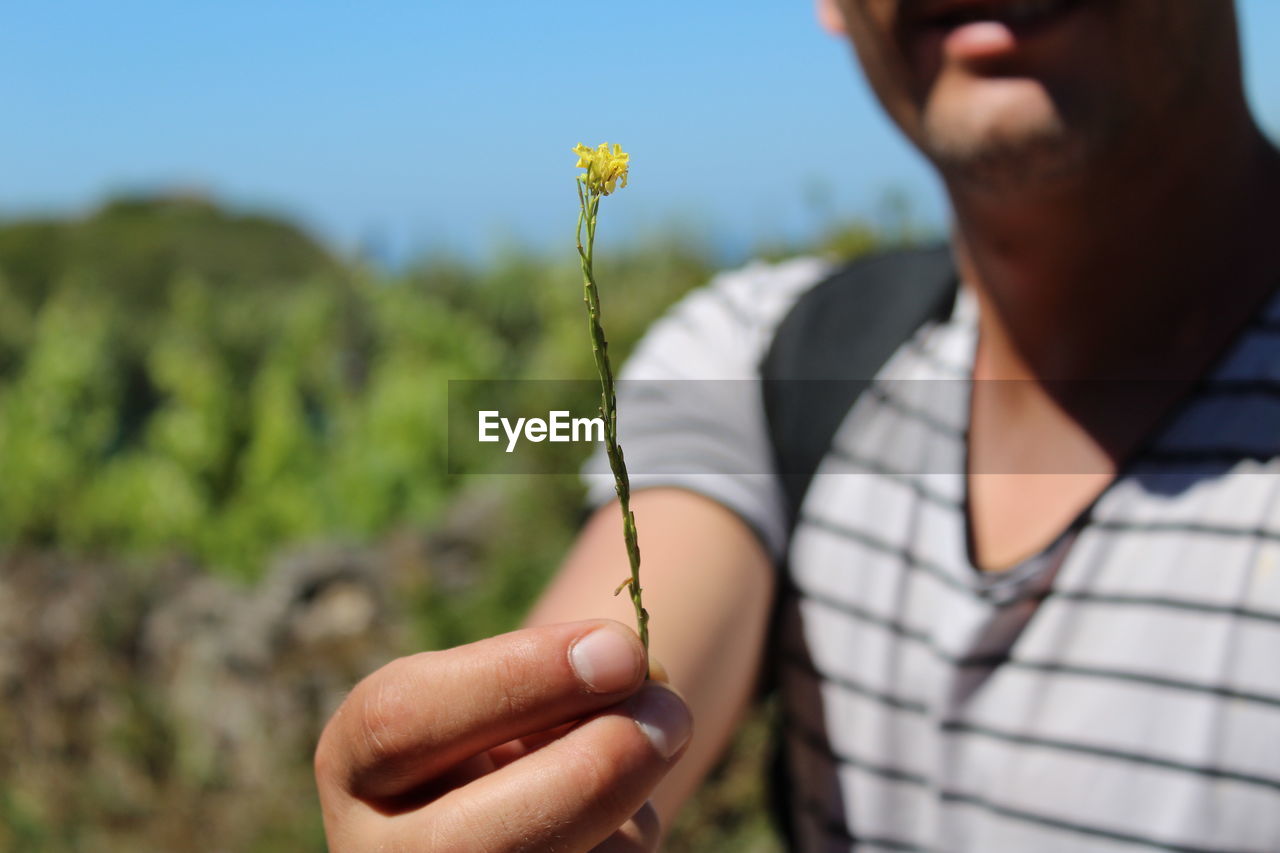 Midsection of man holding yellow flower