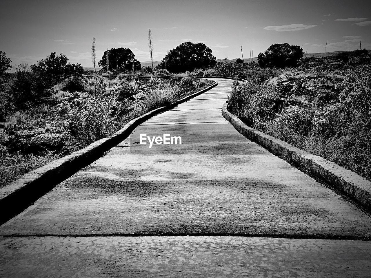 ROAD PASSING THROUGH LANDSCAPE