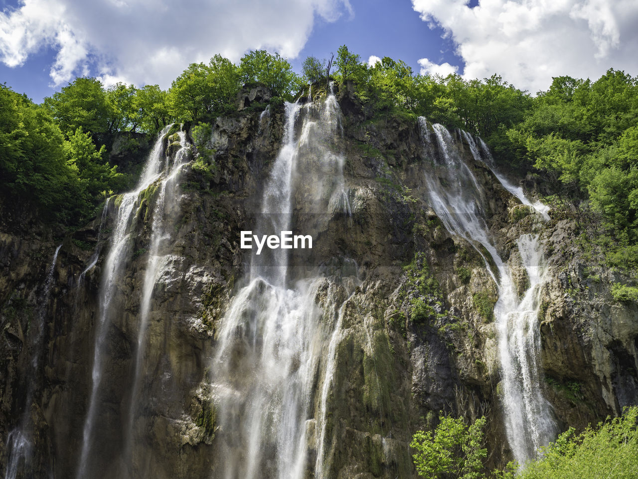 Low angle view of waterfall in forest