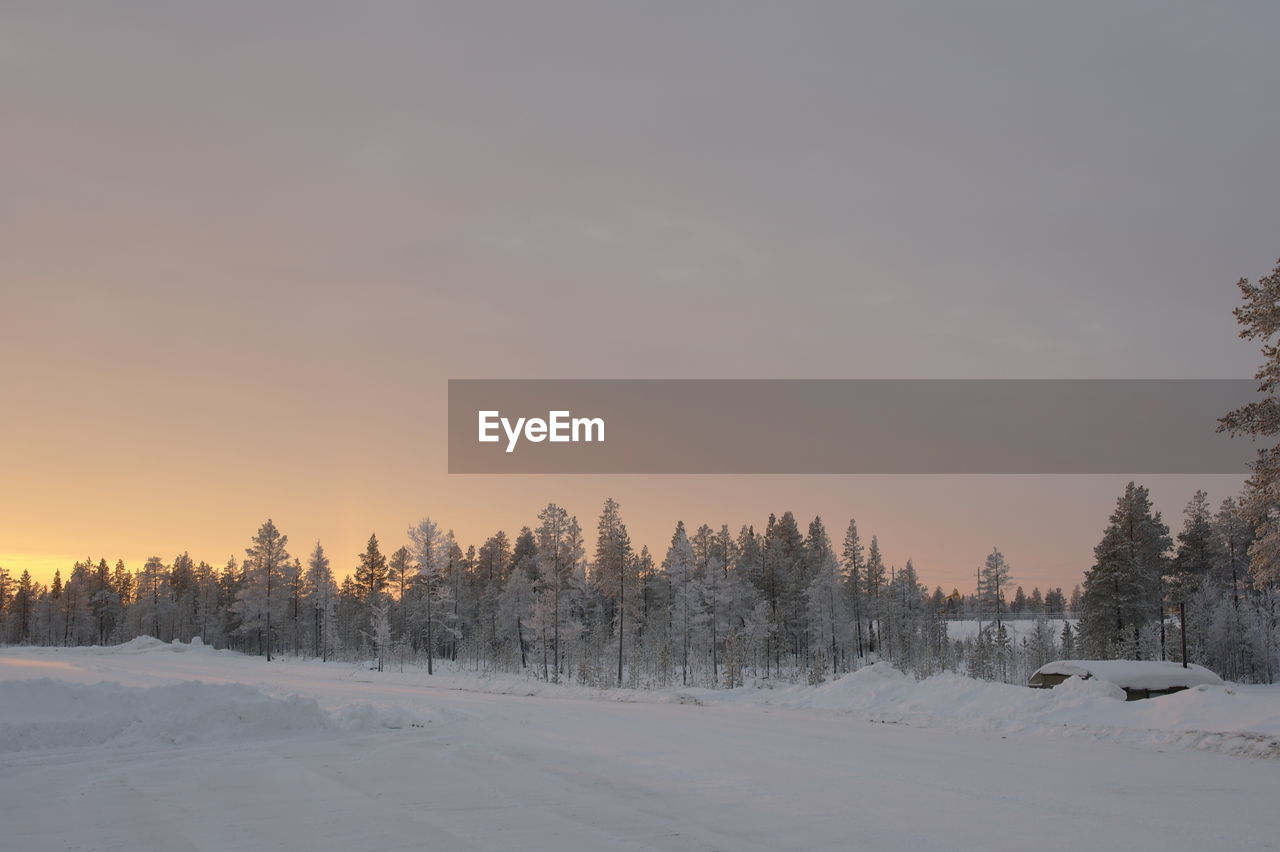 Trees on snow covered field against sky during sunset