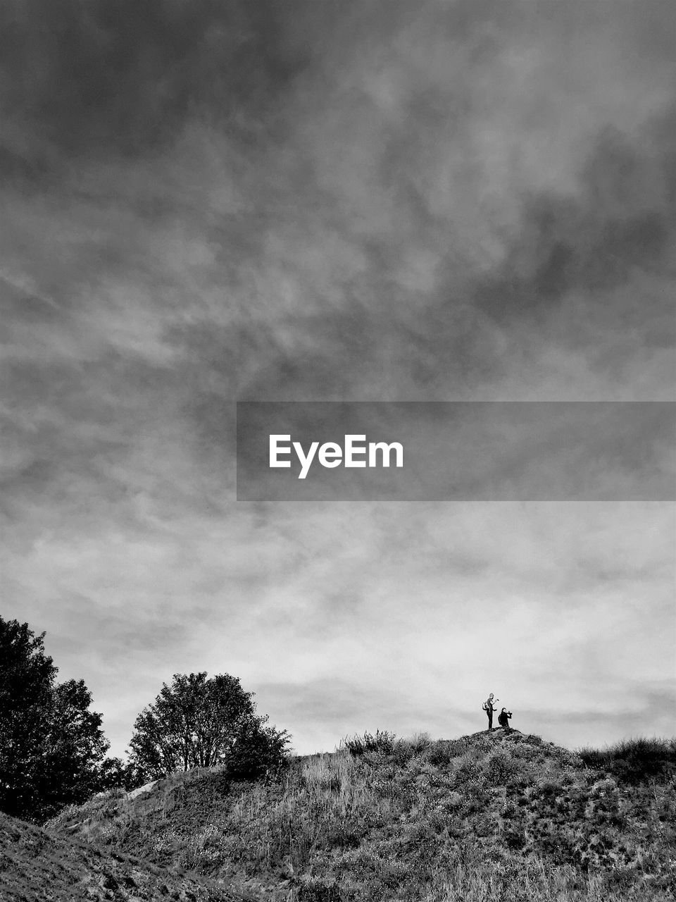 Trees on hill against cloudy sky