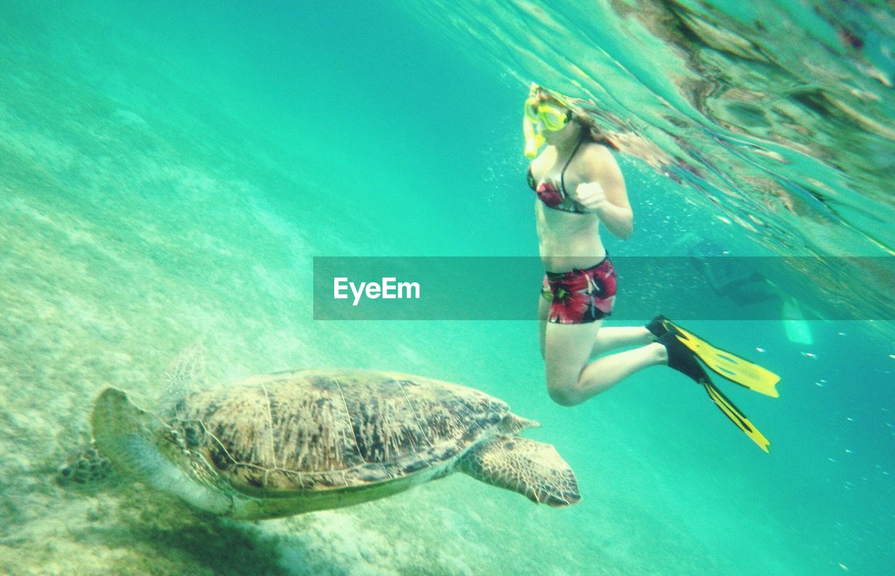 Woman swimming in sea