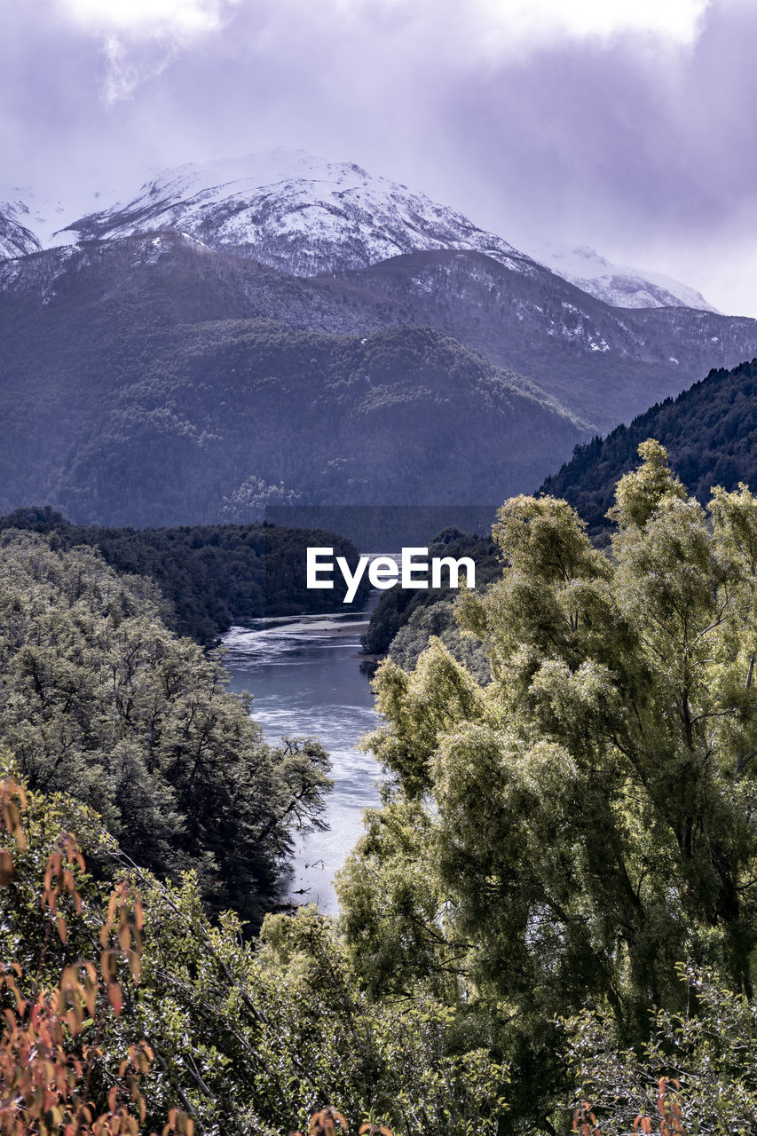 Scenic view of trees and mountains against sky