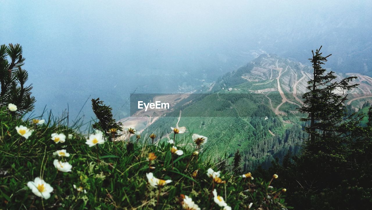 Scenic view of landscape and mountains