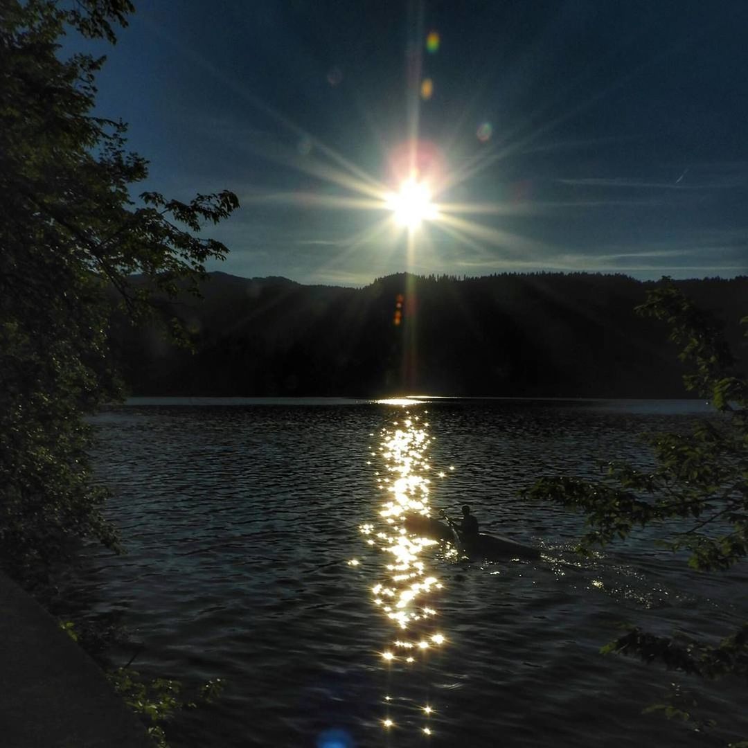 SCENIC VIEW OF LAKE BY TREES AGAINST SKY