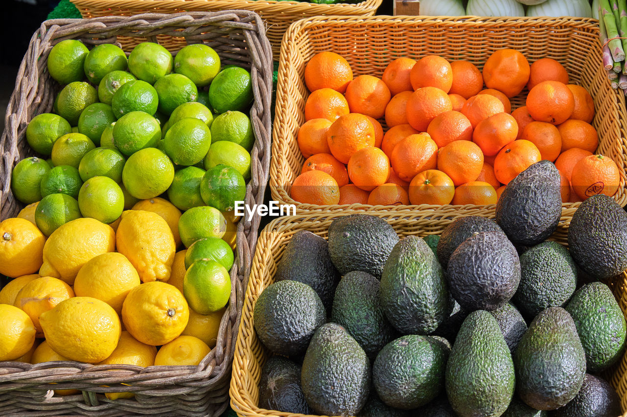 Avocados, lemons, limes and tangerines for sale at a market