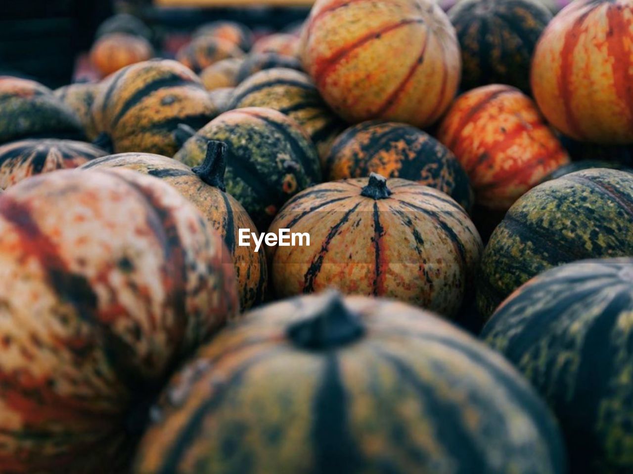 Full frame shot of pumpkins at market stall