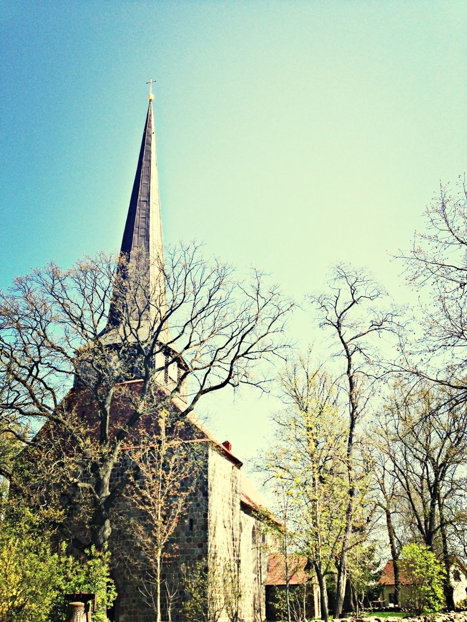 Low angle view of trees and church against clear sky