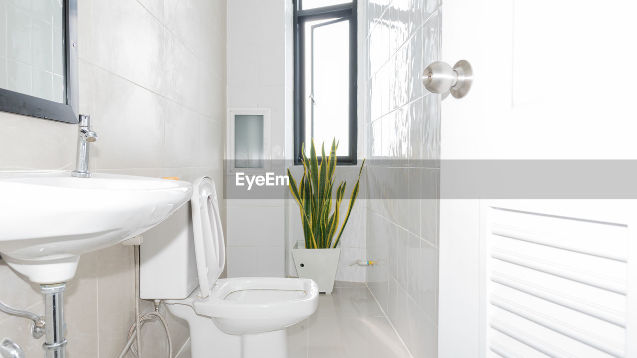 POTTED PLANTS ON WHITE DOOR