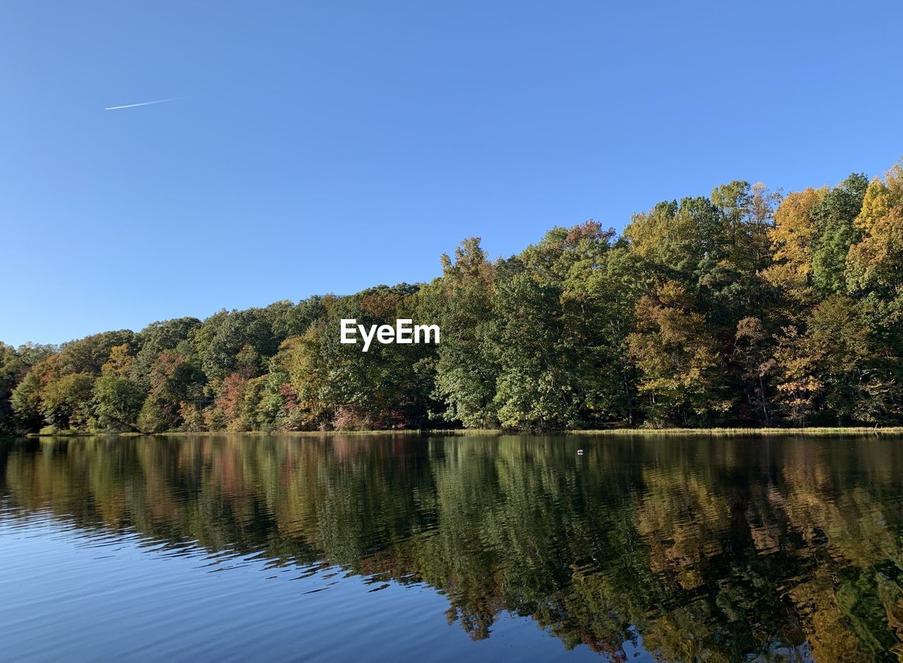 Scenic view of lake against clear blue sky