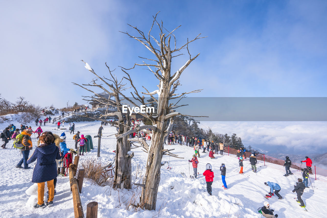 PEOPLE ON SNOW COVERED TREE AGAINST SKY