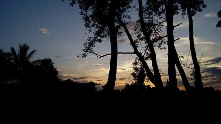 SILHOUETTE PALM TREES AGAINST SKY AT SUNSET