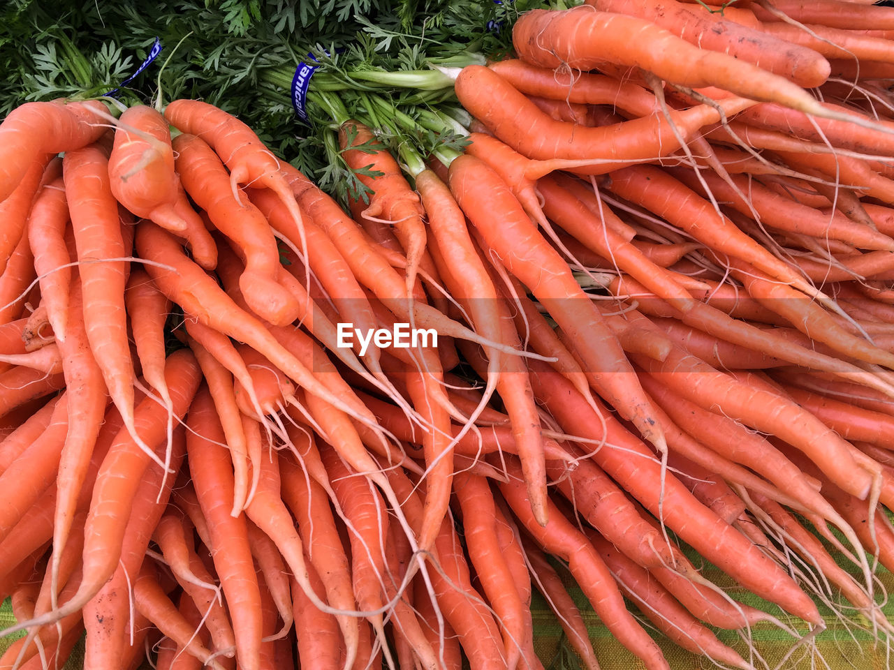 Close-up of carrots for sale