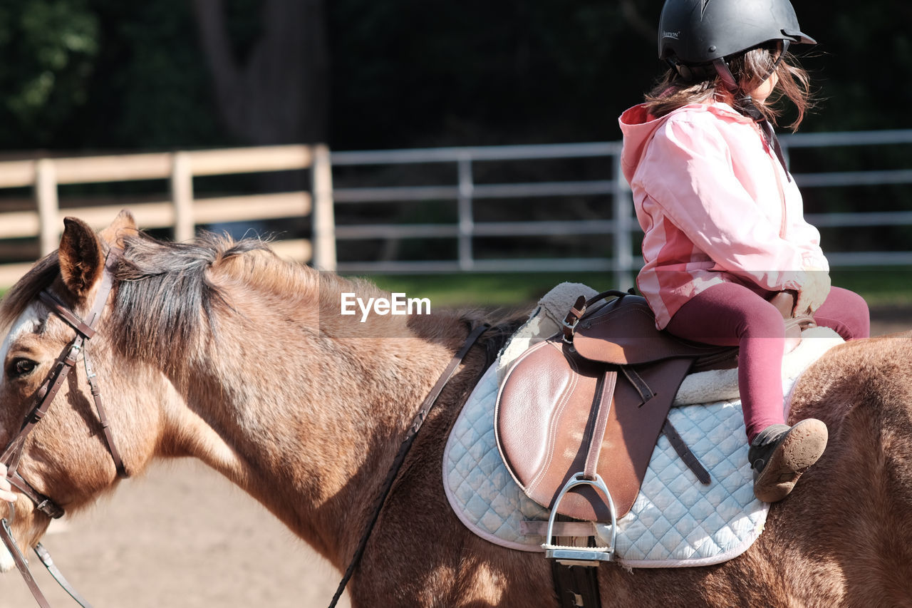 REAR VIEW OF HORSE RIDING