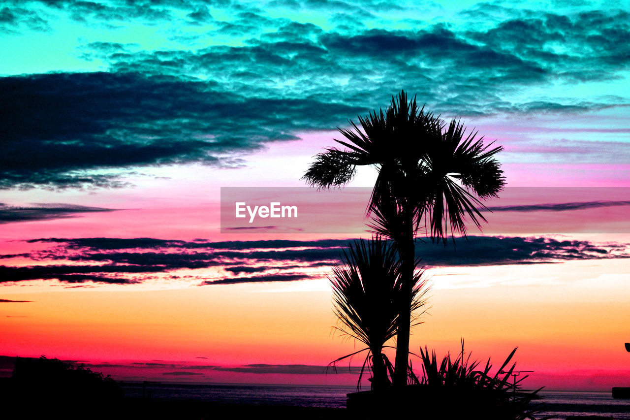 SILHOUETTE TREE AGAINST SEA AT SUNSET