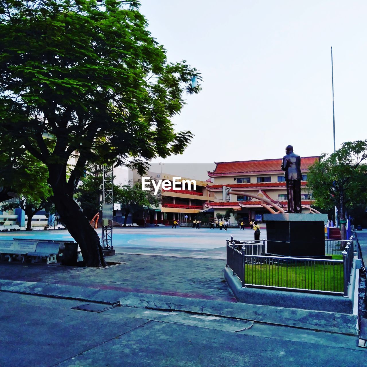 EMPTY ROAD BY TREES AND BUILDINGS AGAINST CLEAR SKY