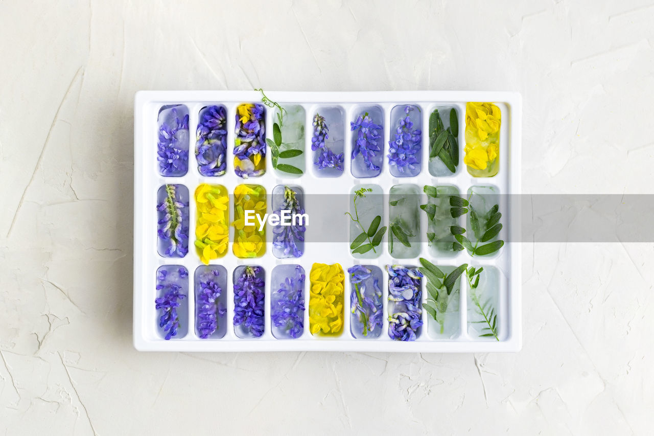Ice cubes with yellow and purple flowers in a tray in the center of the frame on a white background.