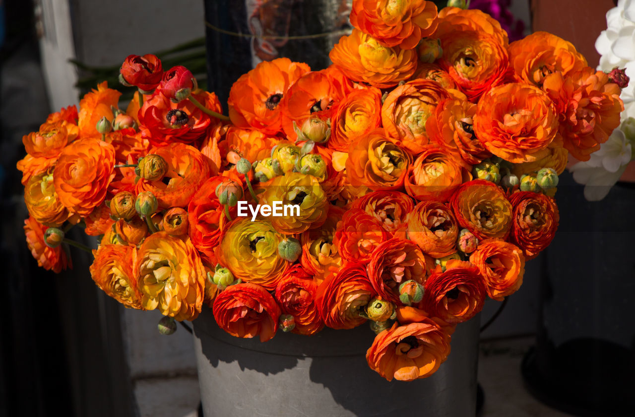 CLOSE-UP OF ORANGE ROSE BOUQUET ON RED ROSES