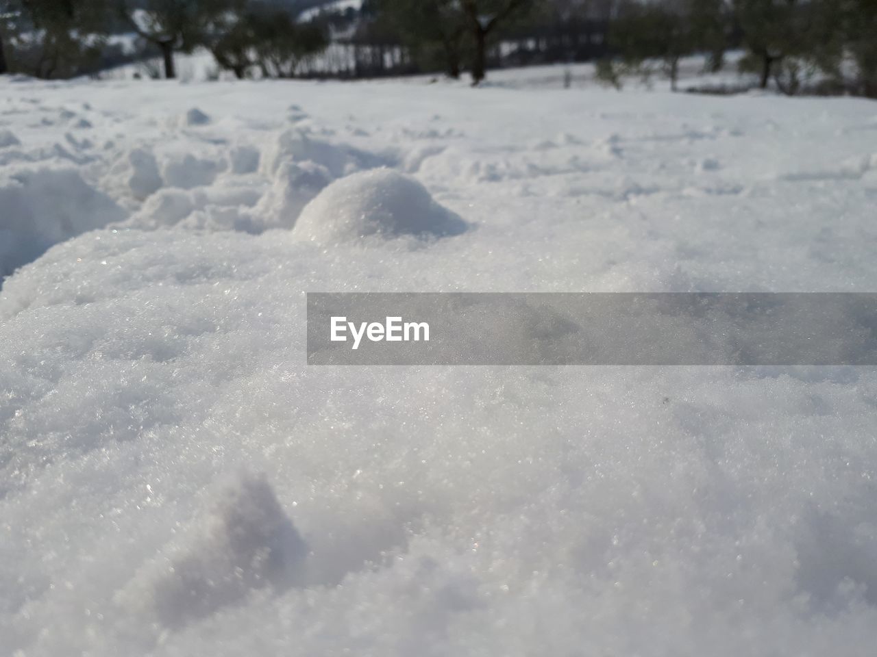 CLOSE-UP OF SNOW