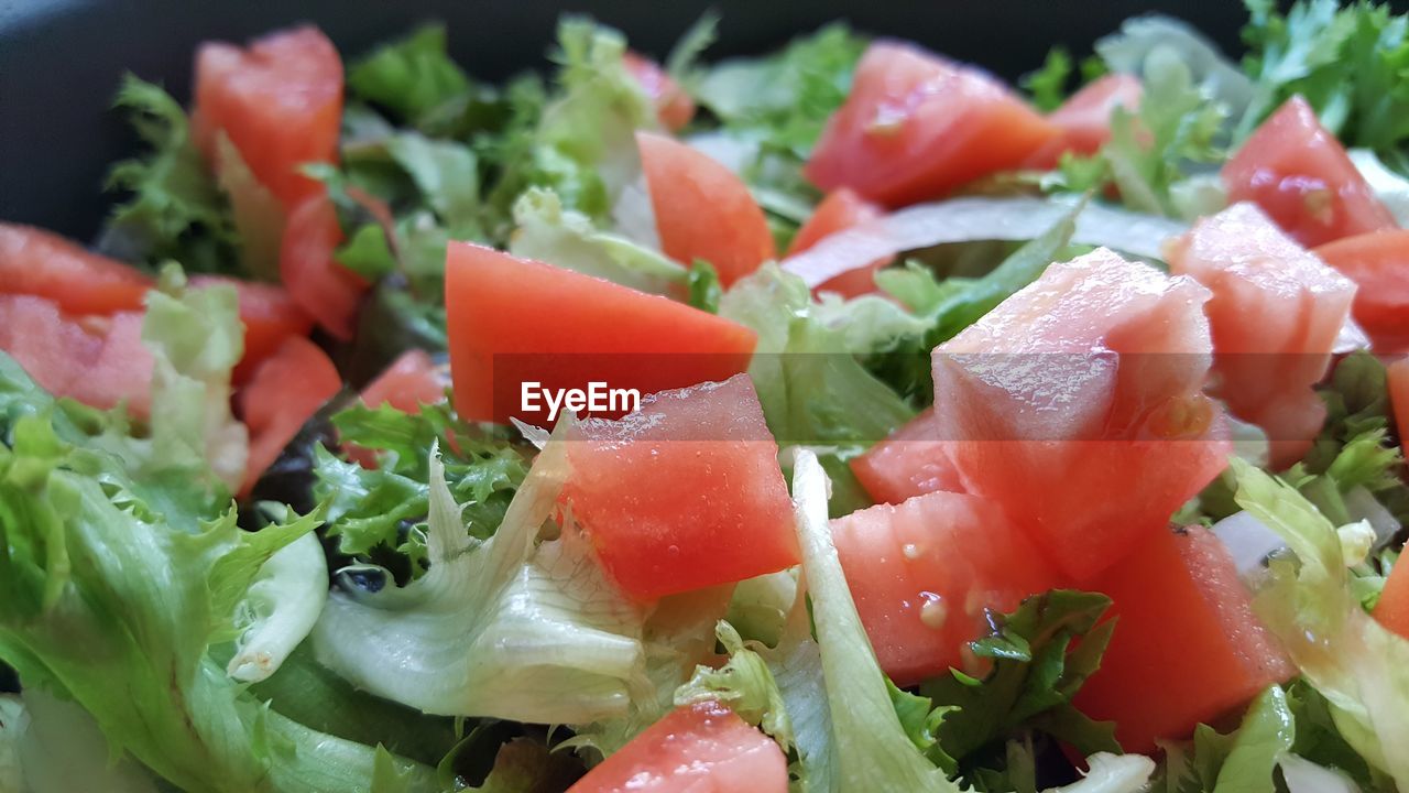 CLOSE-UP OF SALAD WITH VEGETABLES