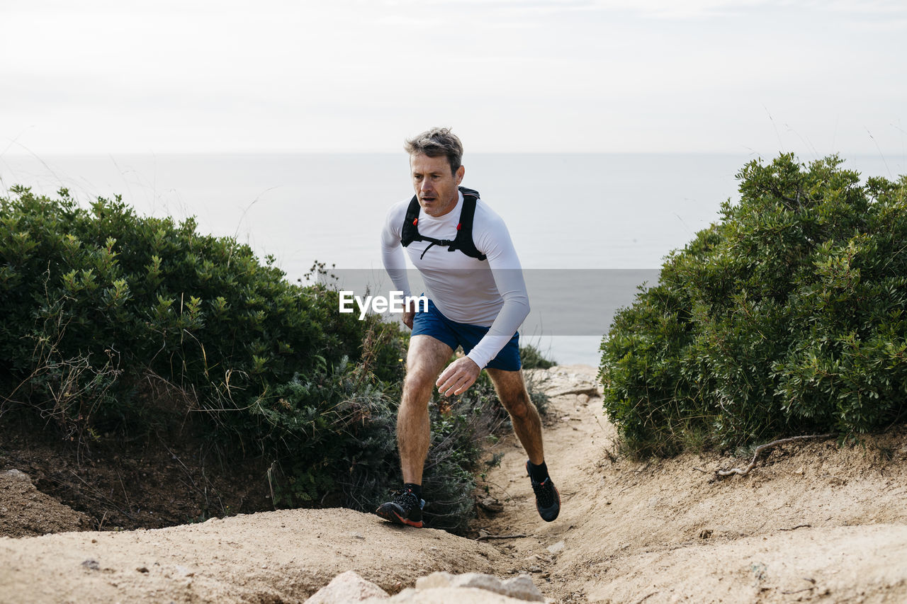 Man walking on dirt road amidst bushes against clear sky