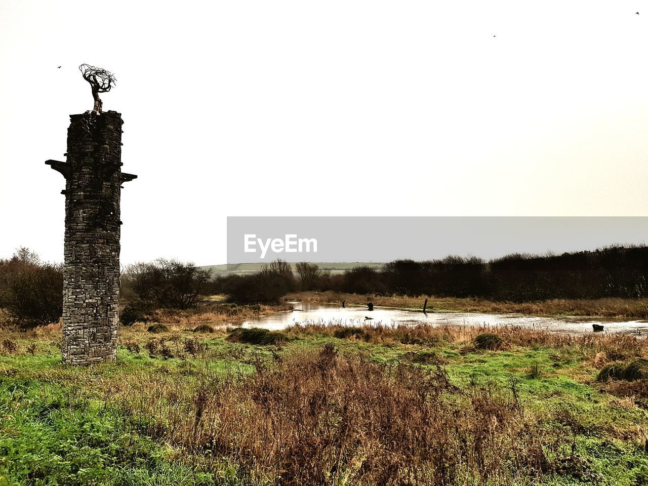 SCENIC VIEW OF FIELD AGAINST CLEAR SKY