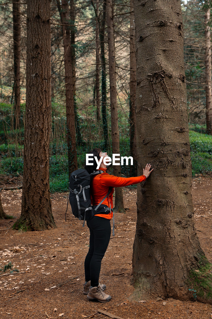 Side view of woman in backpack touching tree trunk and looking up while exploring forest on summer day