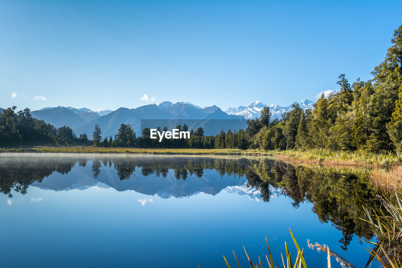 Reflection of trees in calm lake