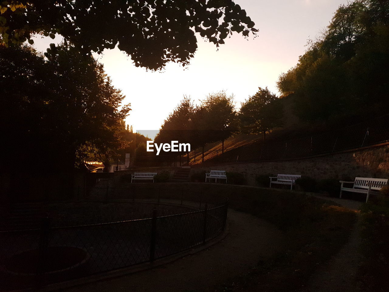 CARS ON ROAD AMIDST TREES AGAINST SKY DURING SUNSET