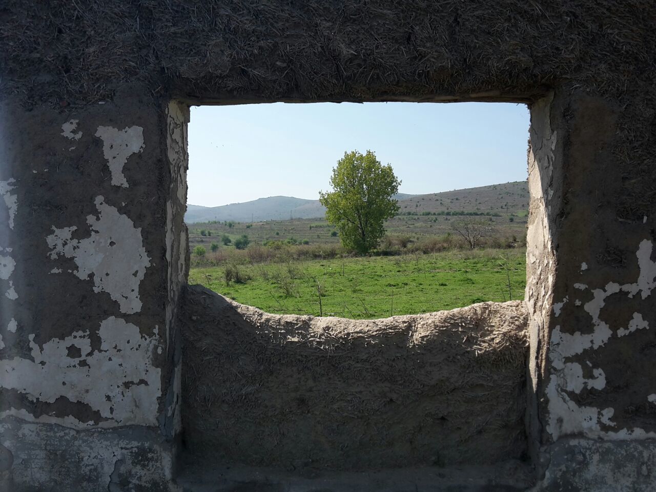 CLOSE-UP OF ABANDONED FIELD AGAINST SKY