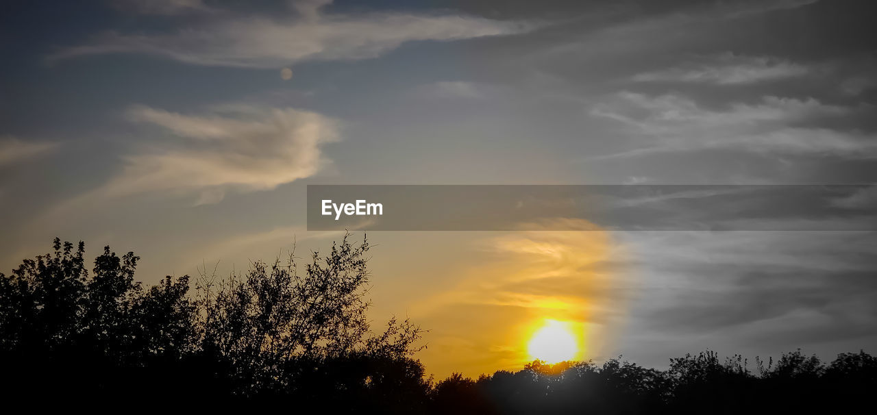 LOW ANGLE VIEW OF SILHOUETTE TREES AGAINST ORANGE SKY