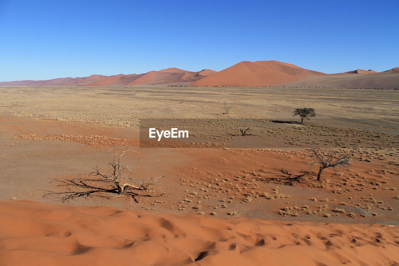 desert, sand, land, climate, arid climate, landscape, scenics - nature, environment, sand dune, tranquil scene, sky, tranquility, non-urban scene, remote, nature, beauty in nature, clear sky, no people, barren, extreme terrain, outdoors, atmospheric