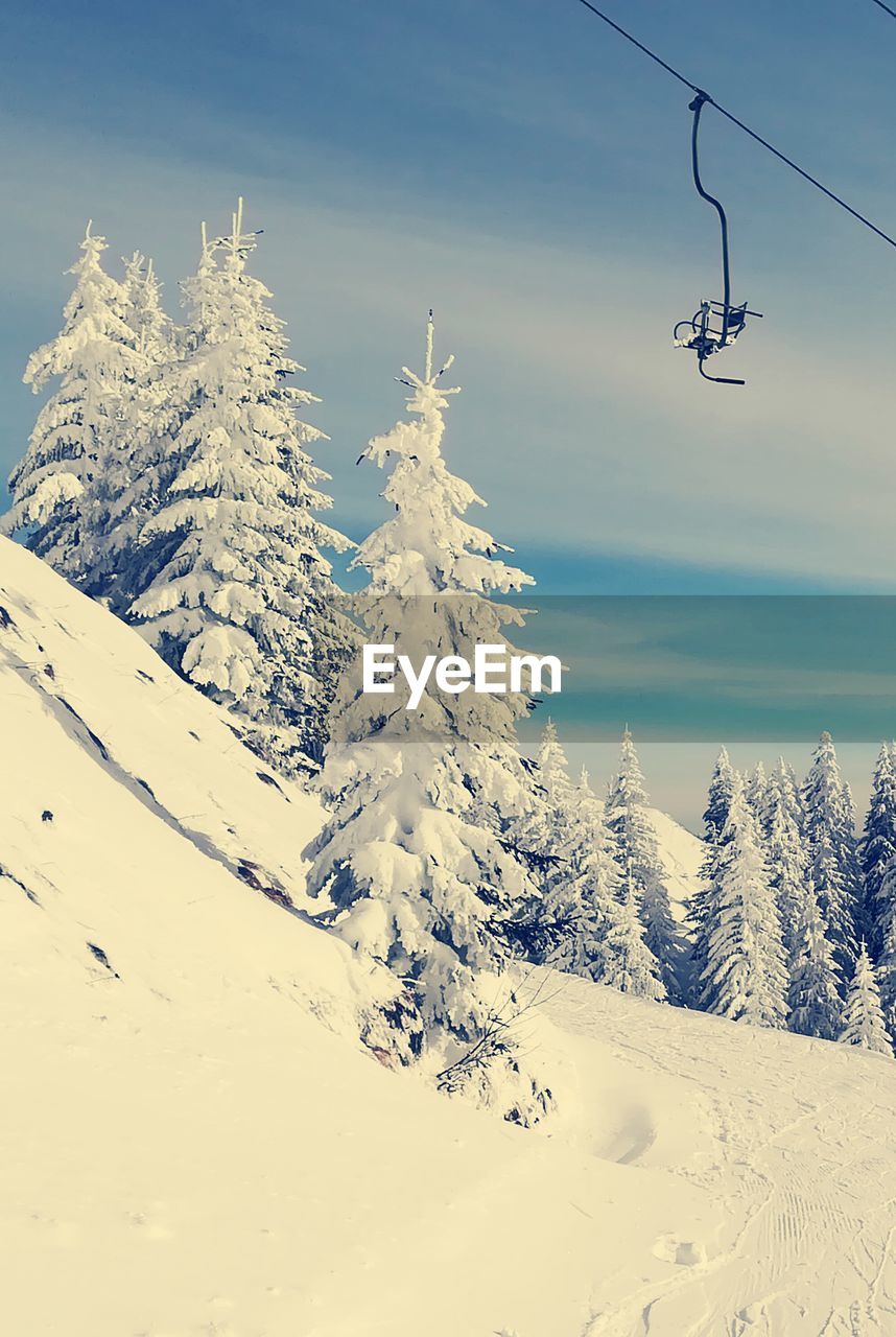 OVERHEAD CABLE CARS IN WINTER