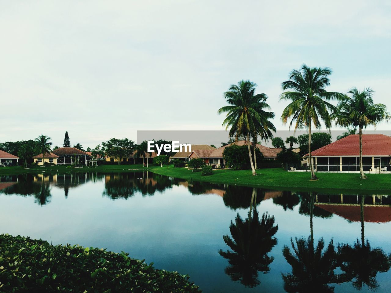 Reflection of coconut palm trees in lake by houses against sky