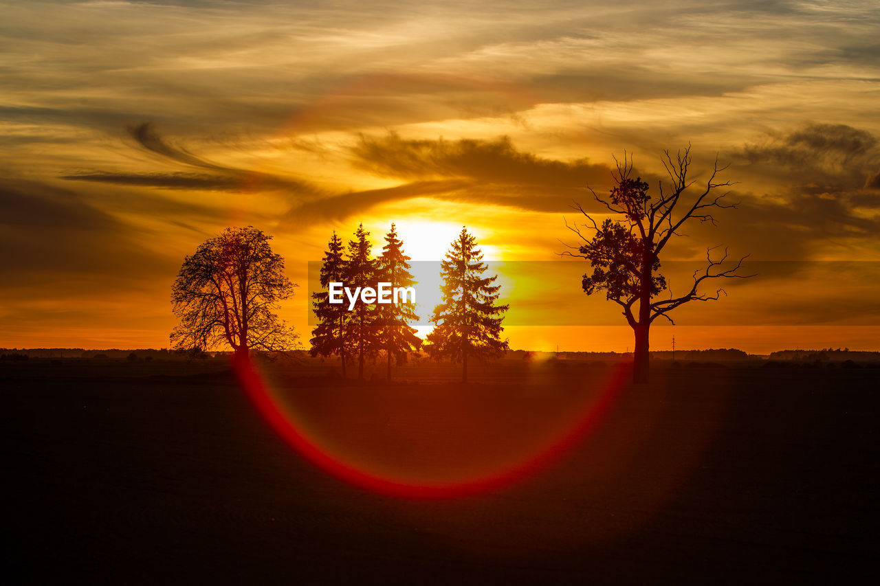 Silhouette trees on field against orange sky