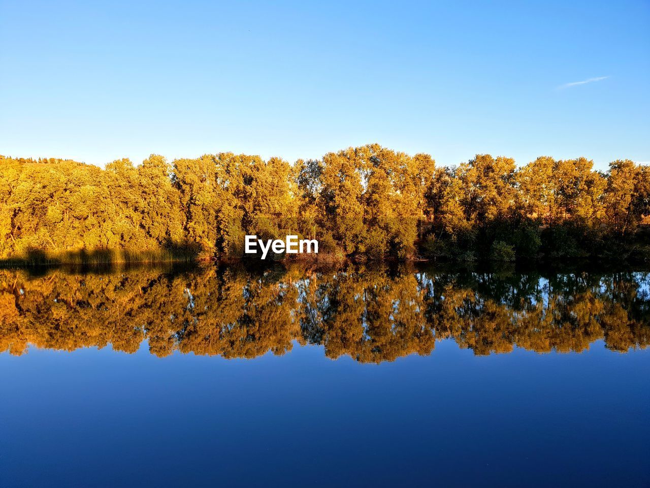 Scenic view of lake against clear blue sky