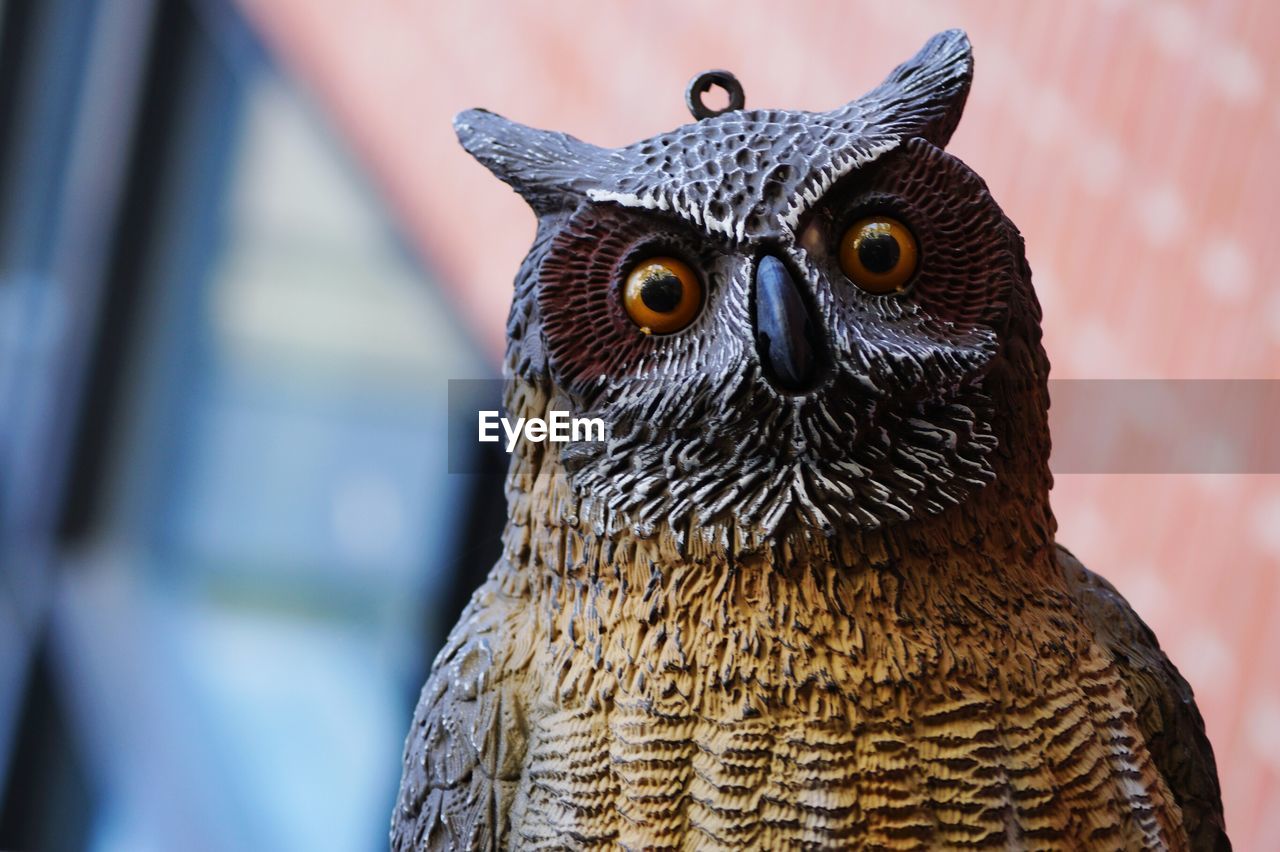 Close-up of owl sculpture