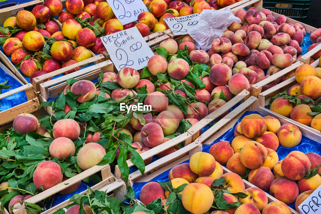 Differents kinds of peaches and nectarines for sale at a market