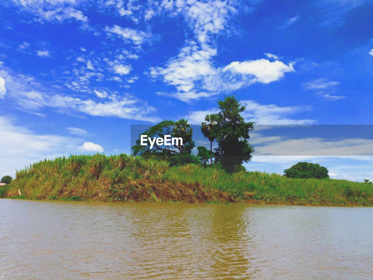 SCENIC VIEW OF LAKE BY TREES AGAINST SKY