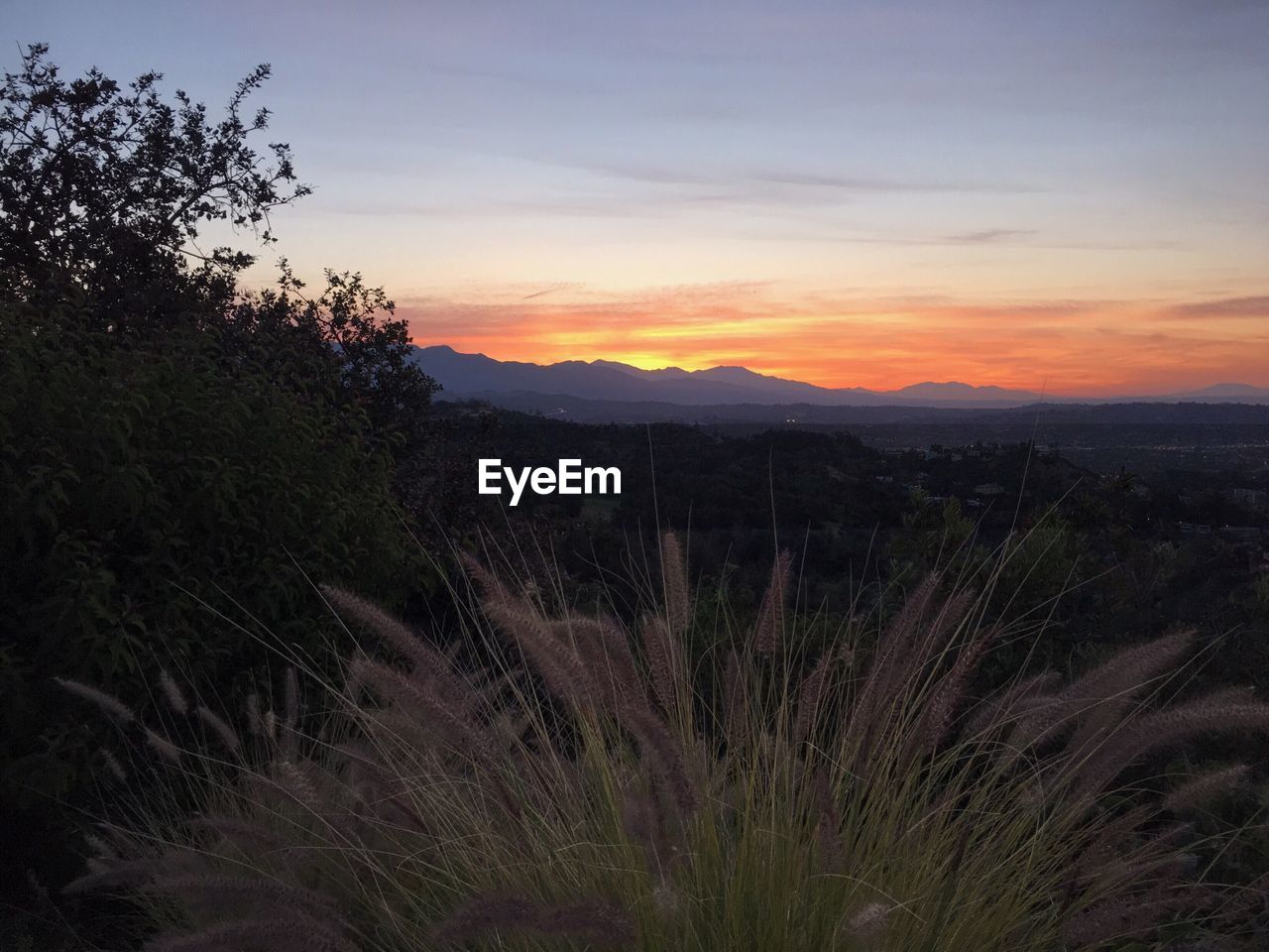 Scenic view of landscape against sky during sunset