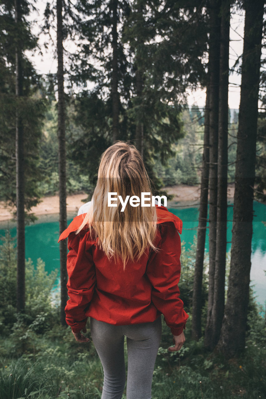 Rear view of woman standing in forest