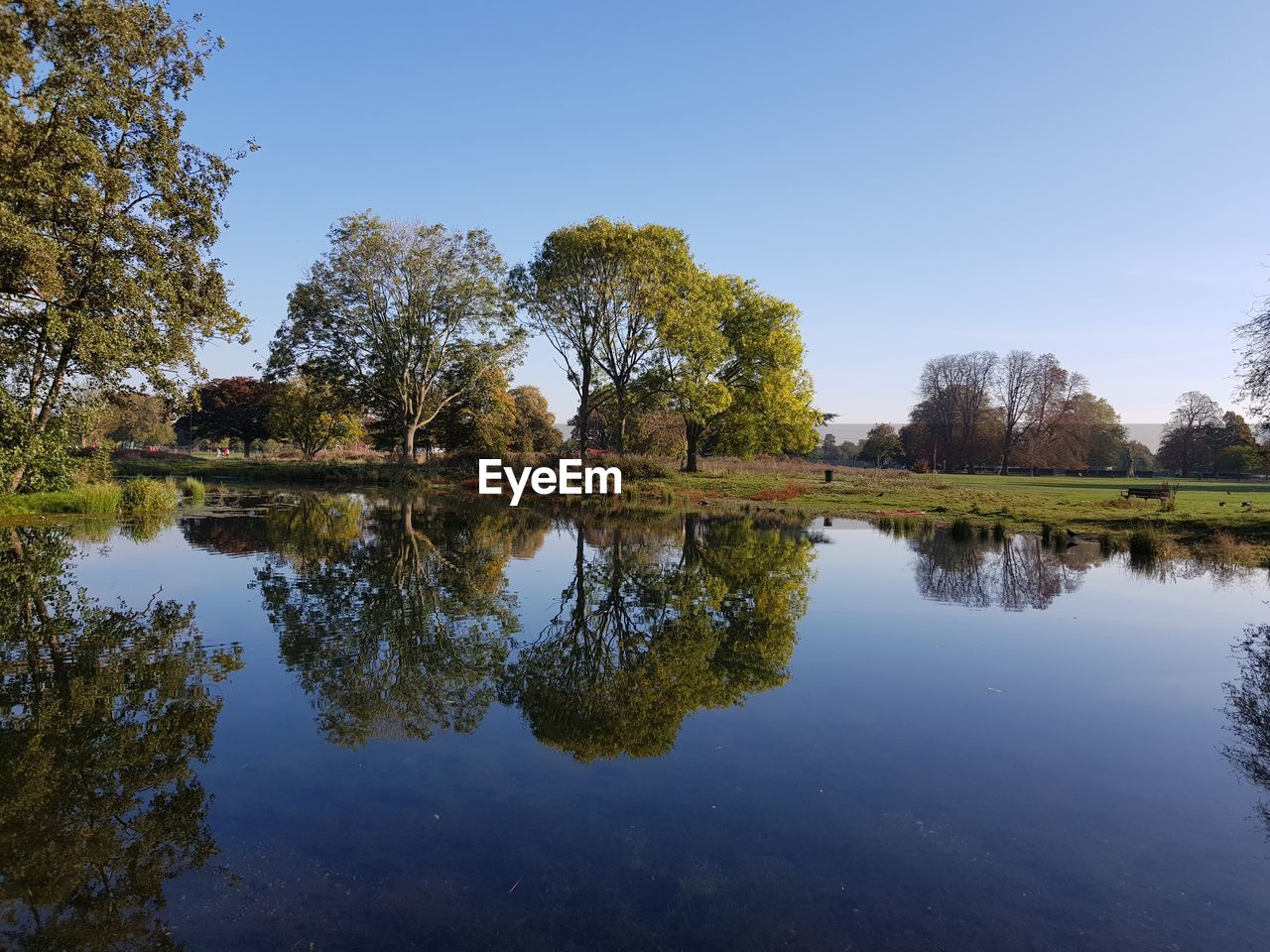 Reflection of trees in lake against sky