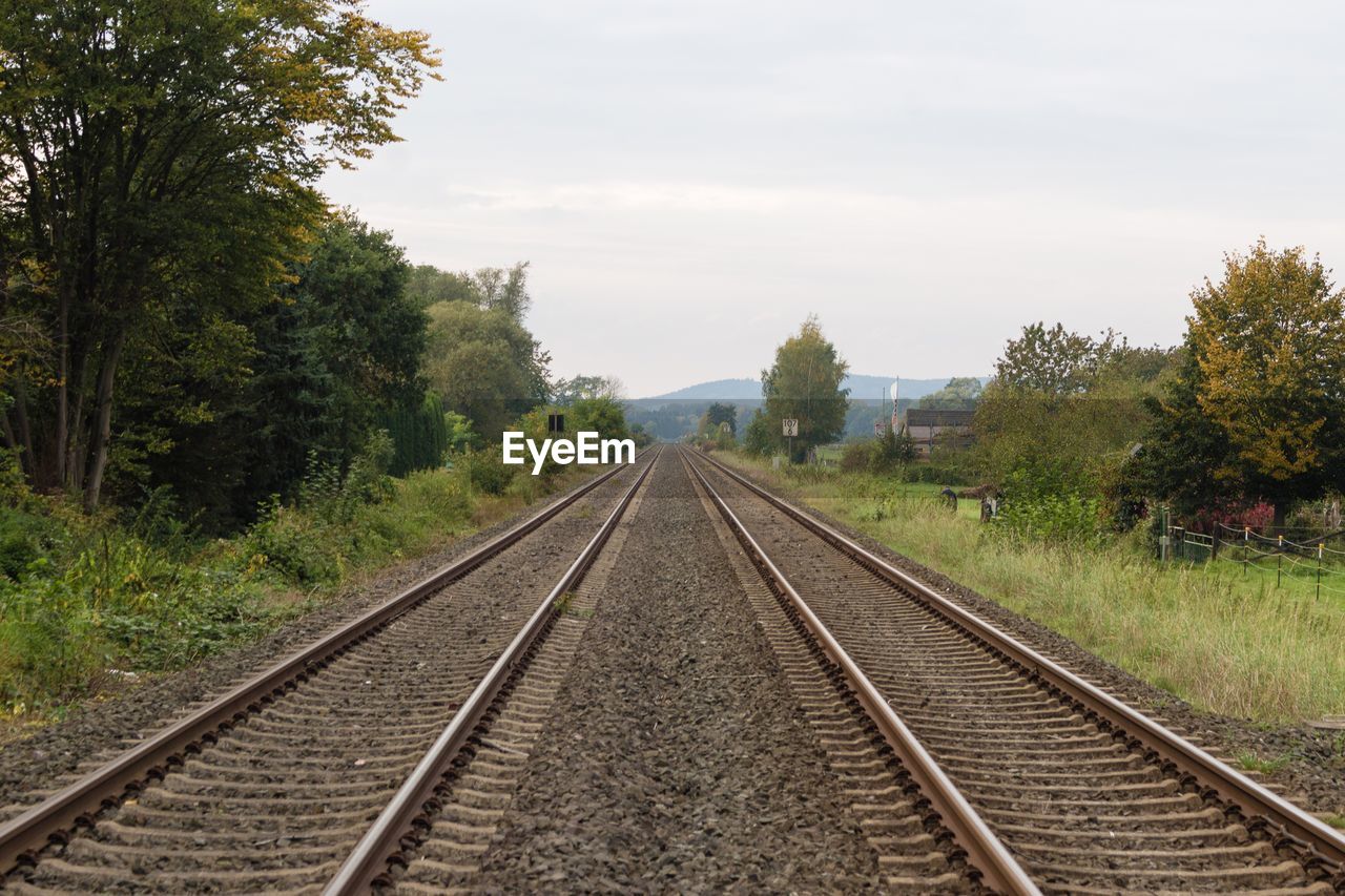 RAILROAD TRACKS AGAINST TREES