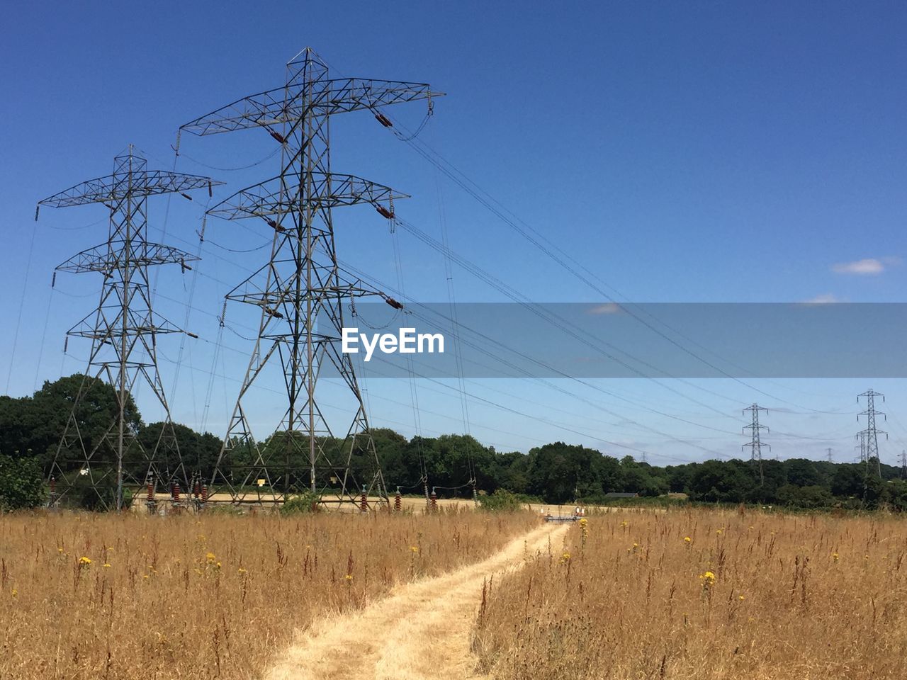 Scenic view of field against clear sky