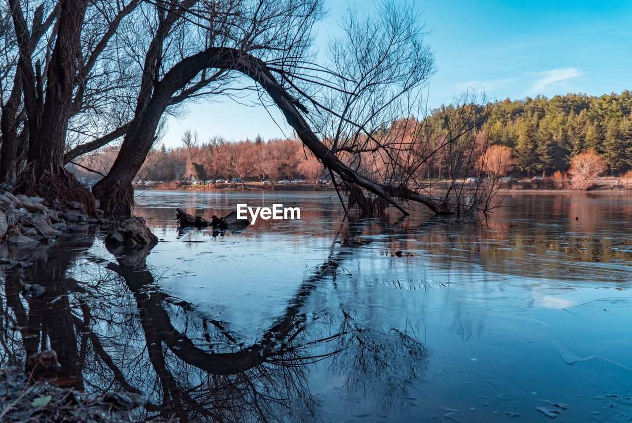 Bare trees on lake against sky during winter