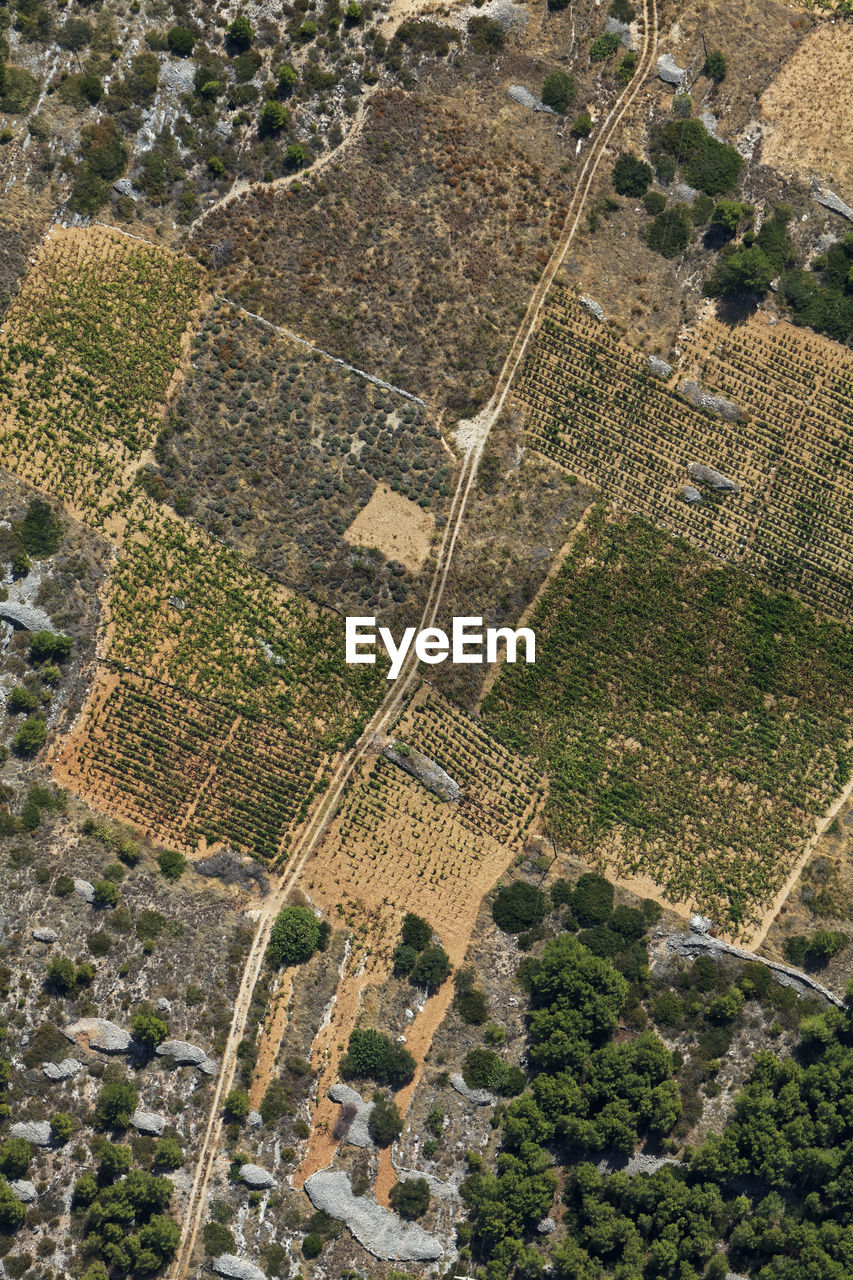 Aerial view of the farms in hvar island, croatia