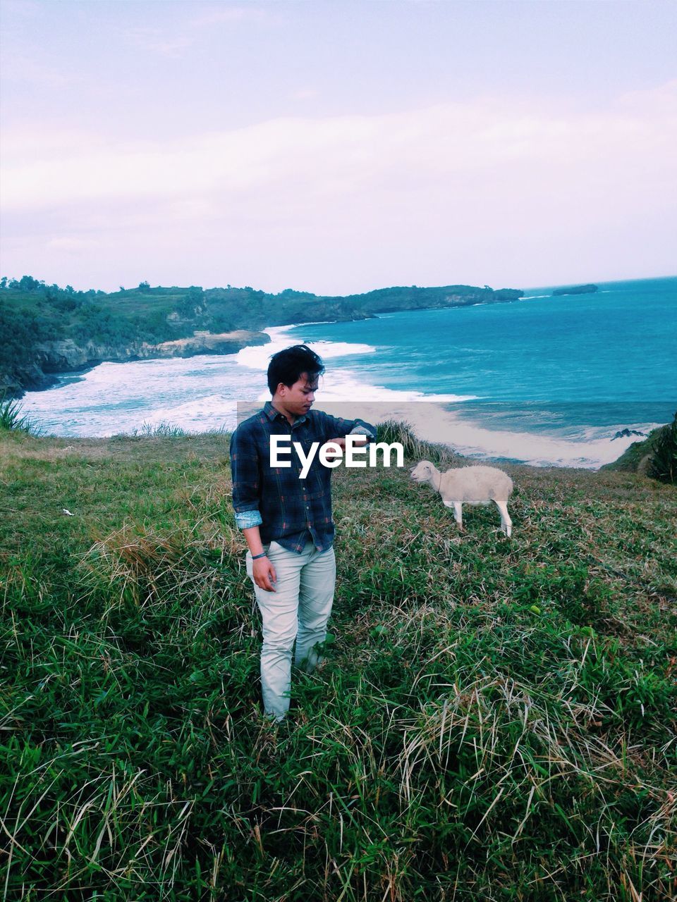 Man checking time while standing by sheep on grass against sea